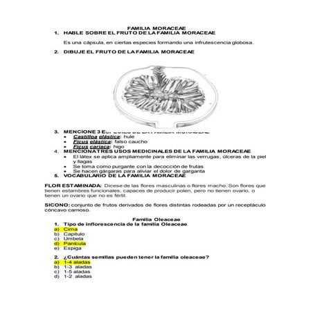 Cuestionario botanica sistemantica ii