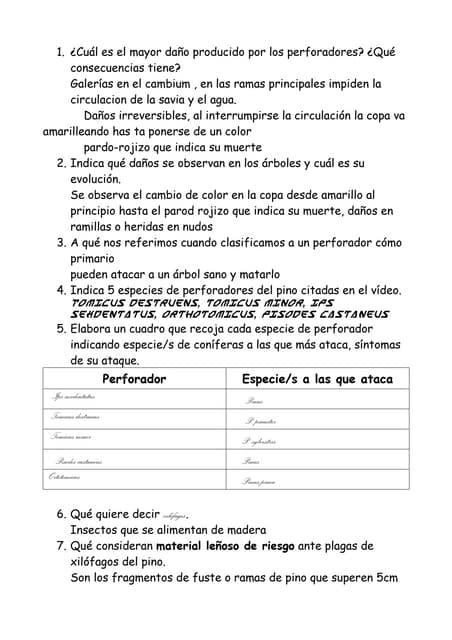 Cuestionario preguntas diego