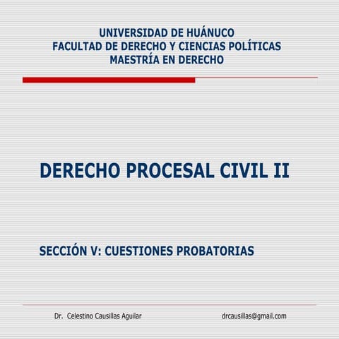 Cuestiones probatorias