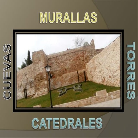Retrovisor | PPS