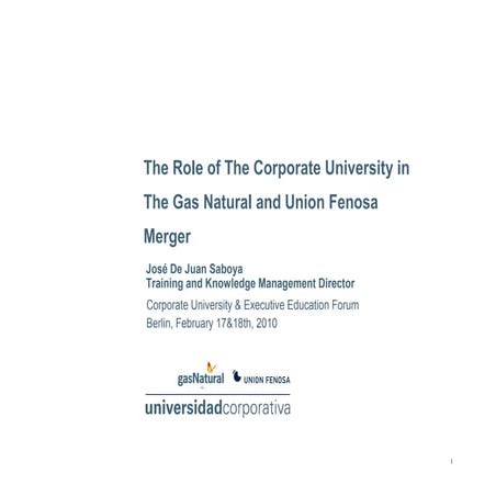 Cu Executive Education Forum Feb17 Gas Natural