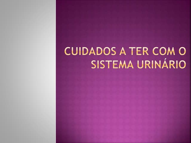 Cuidados a ter com o sistema urinário