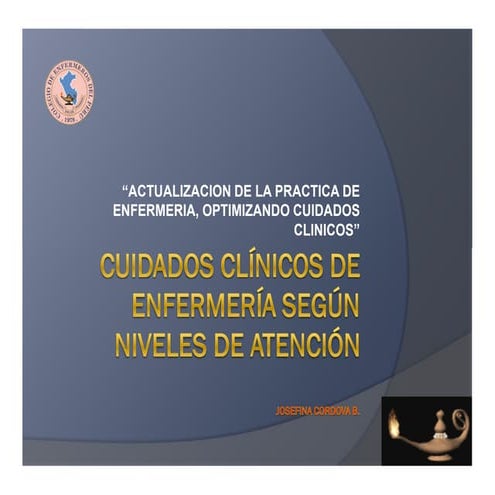 Cuidados clínicos de enfermería según niveles de atención jecb