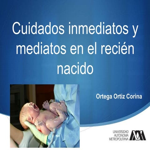 Cuidados Mediatos E Inmediatos Del Recién Nacido Gpc www.oceanproperty.co.th