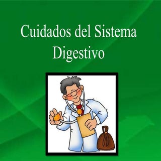 Cuidados del sistema digestivo