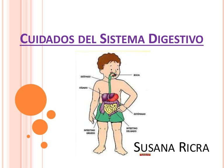 Cuidados del sistema digestivo Cuidados del sistema digestivo