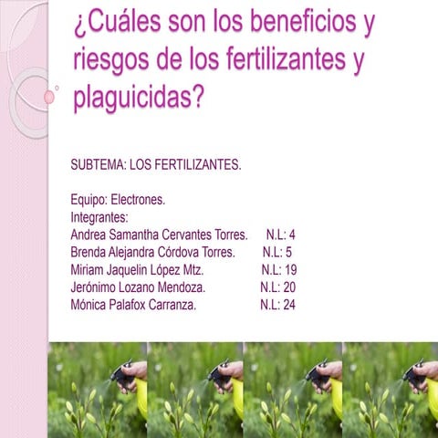 Los plaguicidas. | PPTX