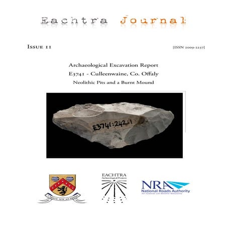 Archaeological Report - Culleenwaine, Co. Offaly (Ireland)