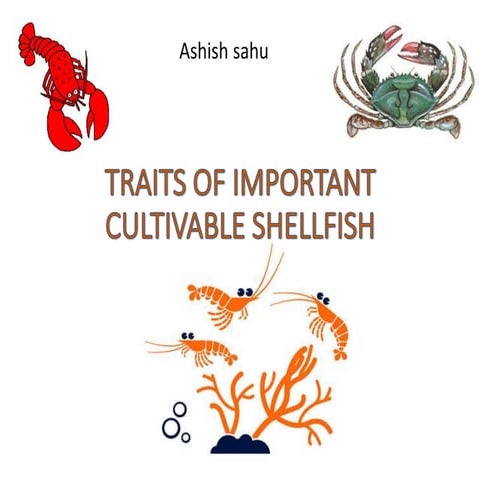 INTEGRATED MULTI TROPHIC AQUACULTURE (IMTA) | PPTX