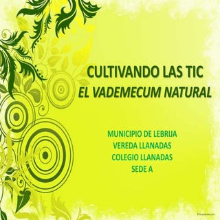 Cultivando Las Tic