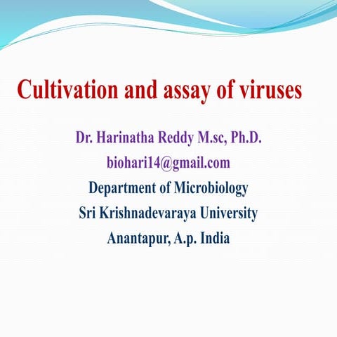 Cultivation and assay of viruses