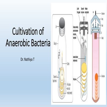 Cultivation of Anaerobic Bacteria ppt.pdf