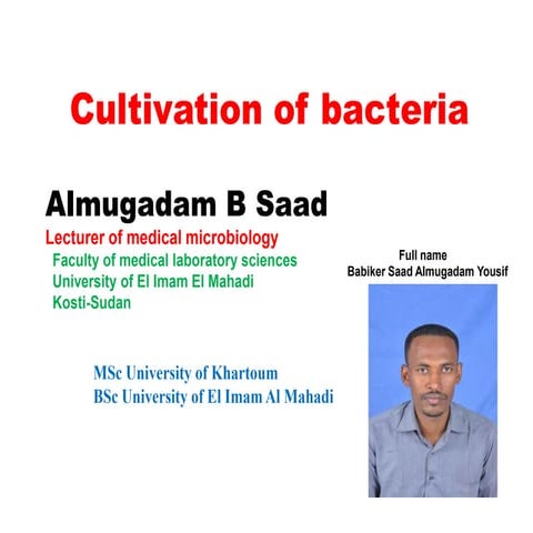 Cultivation of bacteria 