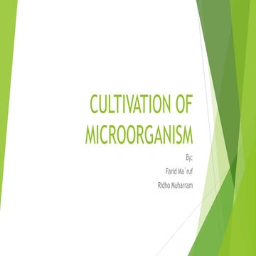 Cultivation of Microorganism (Pembiakan Mikroorganisme)