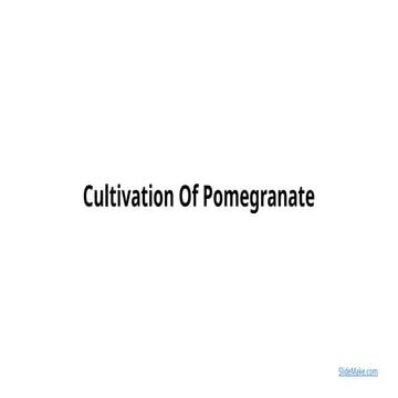 Cultivation Of Pomegranate.pptx in horticulture