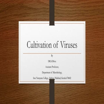 Cultivation of viruses