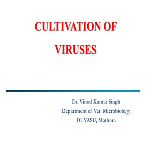 Cultivation of viruses