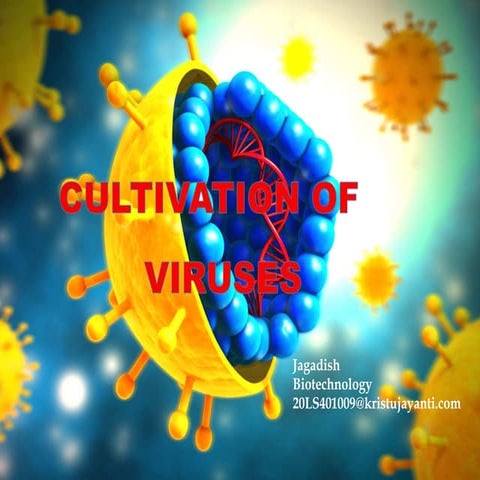 Cultivation of viruses general microbiology