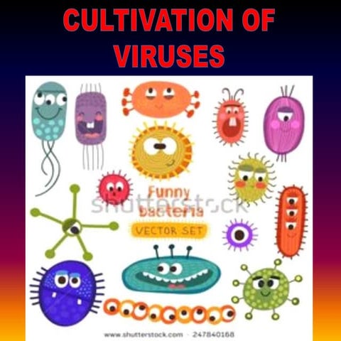 Cultivation of  viruses uhf   copy - copy