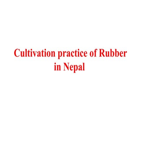 Cultivation Practice of Rubber in Nepal.pptx