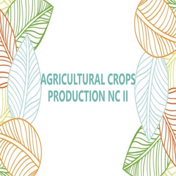 Cultivation Techniques.pptx