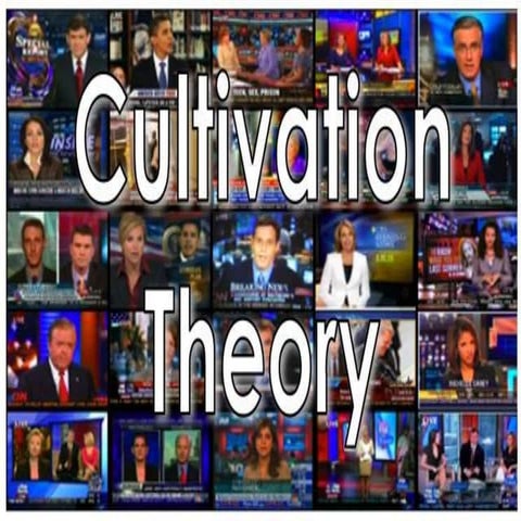 Cultivation Theory 