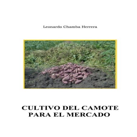 Cultivo del-camote