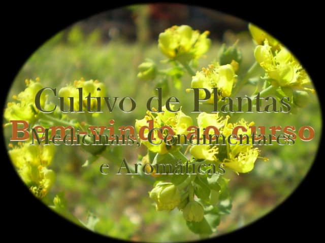 Cultivo cdrom   parcial