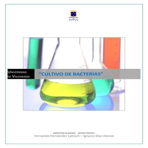 Cultivo de bacterias. hipotesis