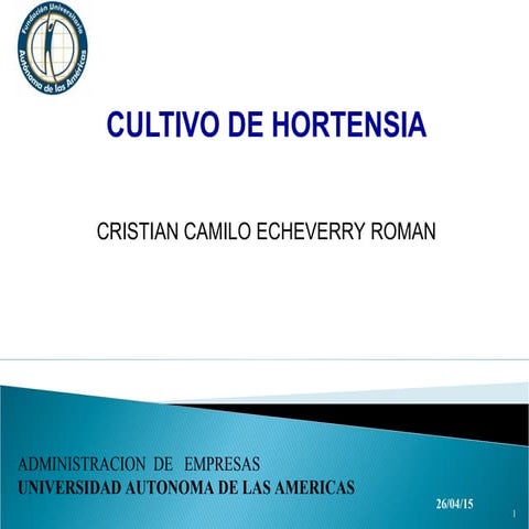 Cultivo de Hortensia