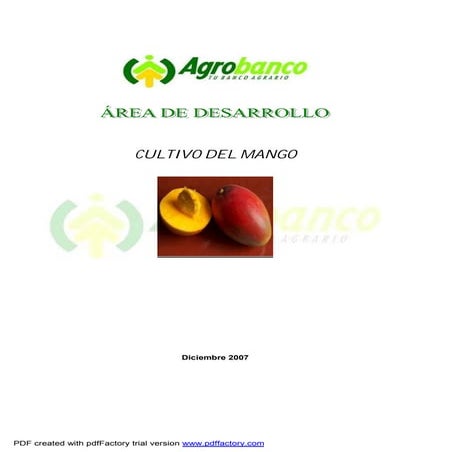 Cultivo del mango