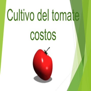 Cultivo del tomate costos