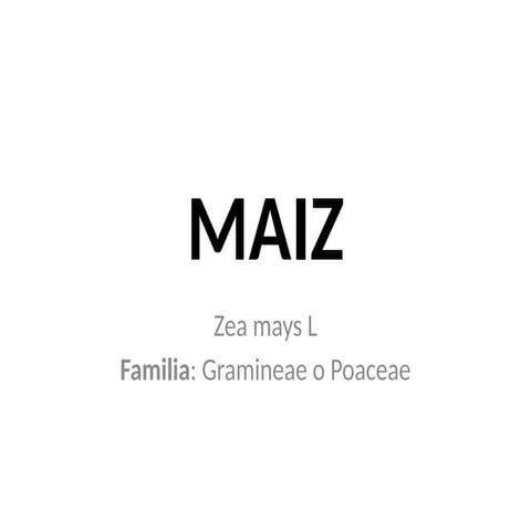 EL CULTIVO DE MAIZ Y SU MANEJO EN PARAGUAY