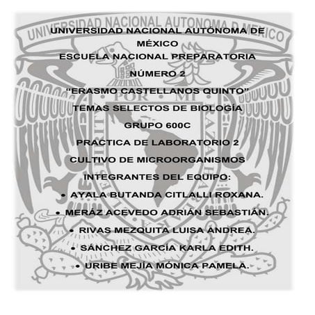 Cultivo de microorganismos. 