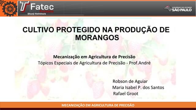 Cultivo protegido em morango1