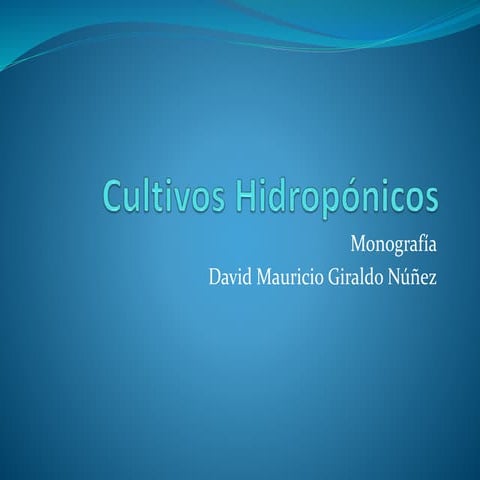 Cultivos hidropónicos