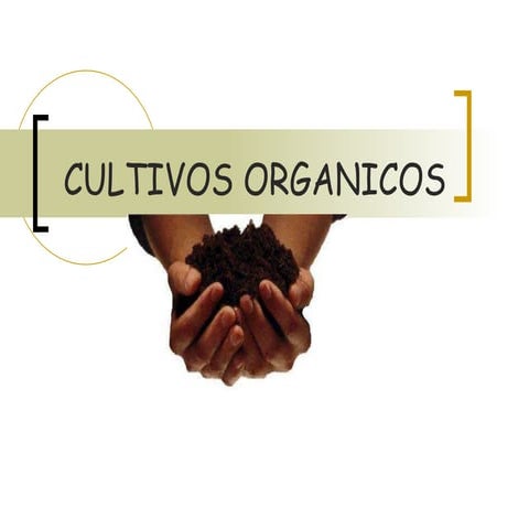 Cultivos Organicos[Estudio