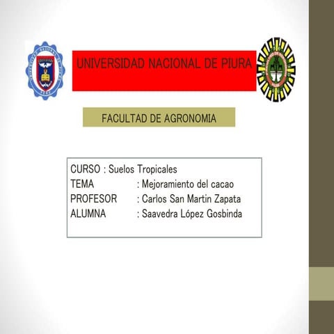 Cultivos tropicales-mejoramiento del cacao