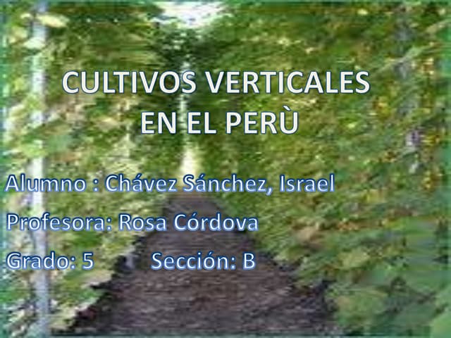 Como Hacer El Huerto Vertical Con Botellas De Plstico Ms Como Hacer El Huerto Vertical Con Botellas De Plstico Ms