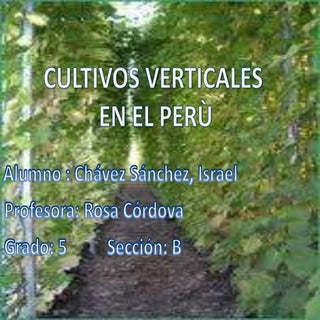 Cultivos verticales