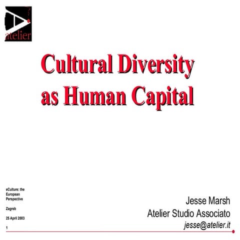 Cultural Diversity as Human Capital