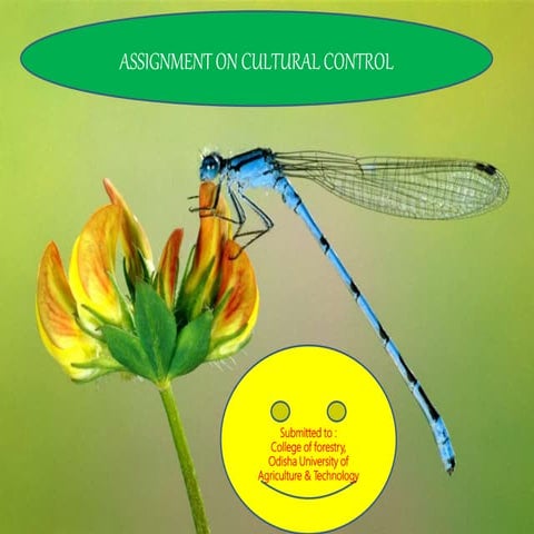 CULTURAL CONTROL of insect pest
