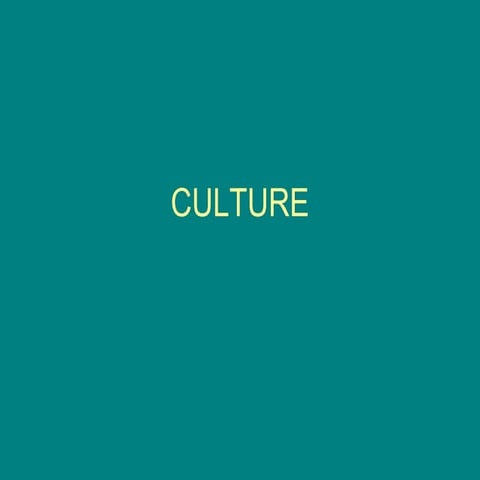 Cultural dimensions