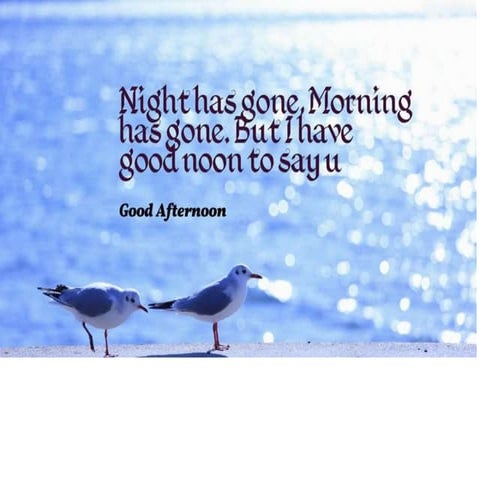 Cultural diversities prof satya 2019 