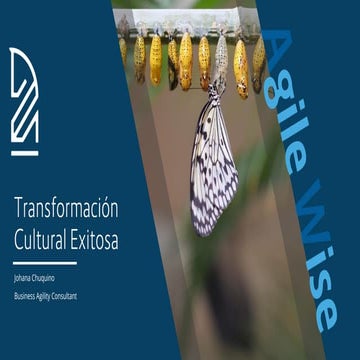 Transformación Cultura Exitosa
