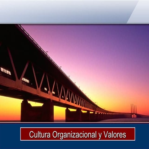 Cultura organizacional