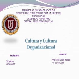 Cultura y cultura  organizacional