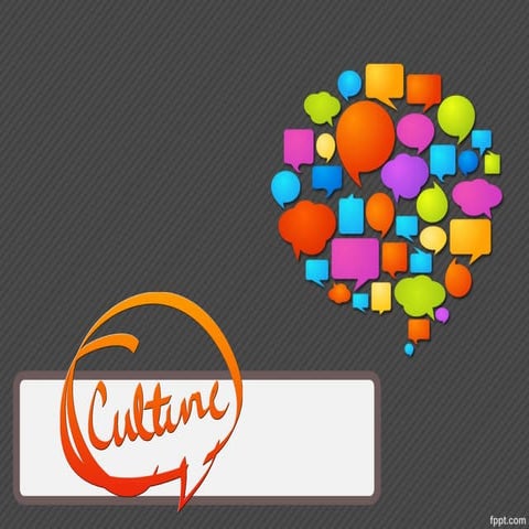 ELEMENTS OF SOCIAL LIFE: CULTURE