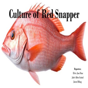 Culturing of Red Snapper Fish Techniques.pptx