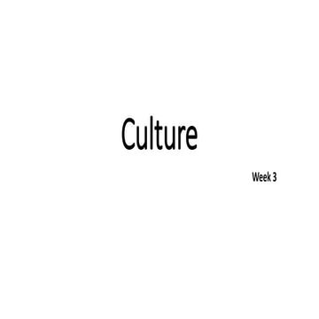 Culture_3.pptx